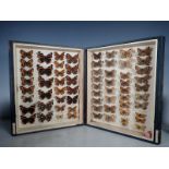 Two Lepidopterist's Cases in the form of books containing a collection of British Butterflies