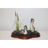 A Border Fine Arts grebe figurine 26x24cm Collection only