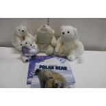 A job lot of polar bear soft toys & related books