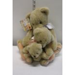 A selection of Cherished teddy bears