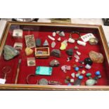 Good Size Display case with contents of assorted Crystals, fossils & other items