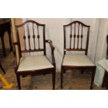 Four mahogany dining chairs (one carver) collection only