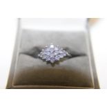 A 9ct white gold purple stone cluster ring size O. 2.07 grams