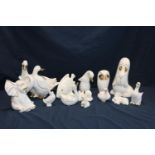 A Job lot of ceramic animals 'no postage available'