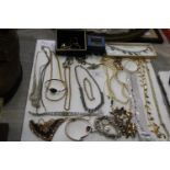 A selection of assorted costume jewellery