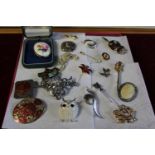 A job lot of costume jewellery brooches etc