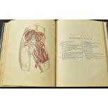 Medizin: Piper. R.U. (Editor). The Plates of Maclise's Surgical Anatomy,