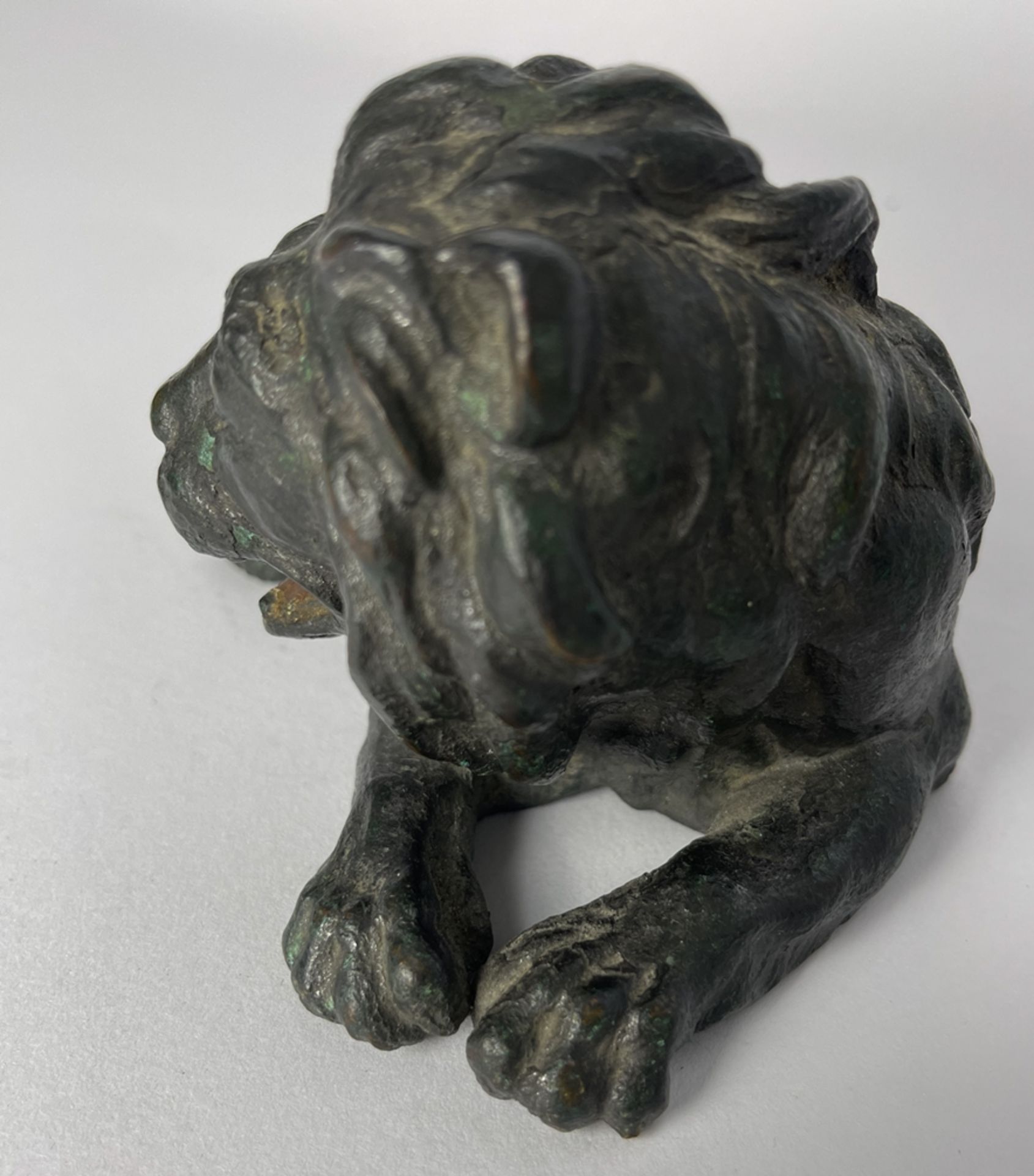 Bronze Figur Liegender Löwe  - Bild 8 aus 8