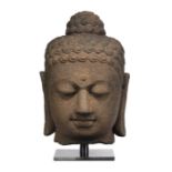 Großer Kopf des Buddha Shakyamuni aus Vulkanstein