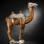 'Sancai'-farben glasiertes baktrisches Kamel aus Irdenware
