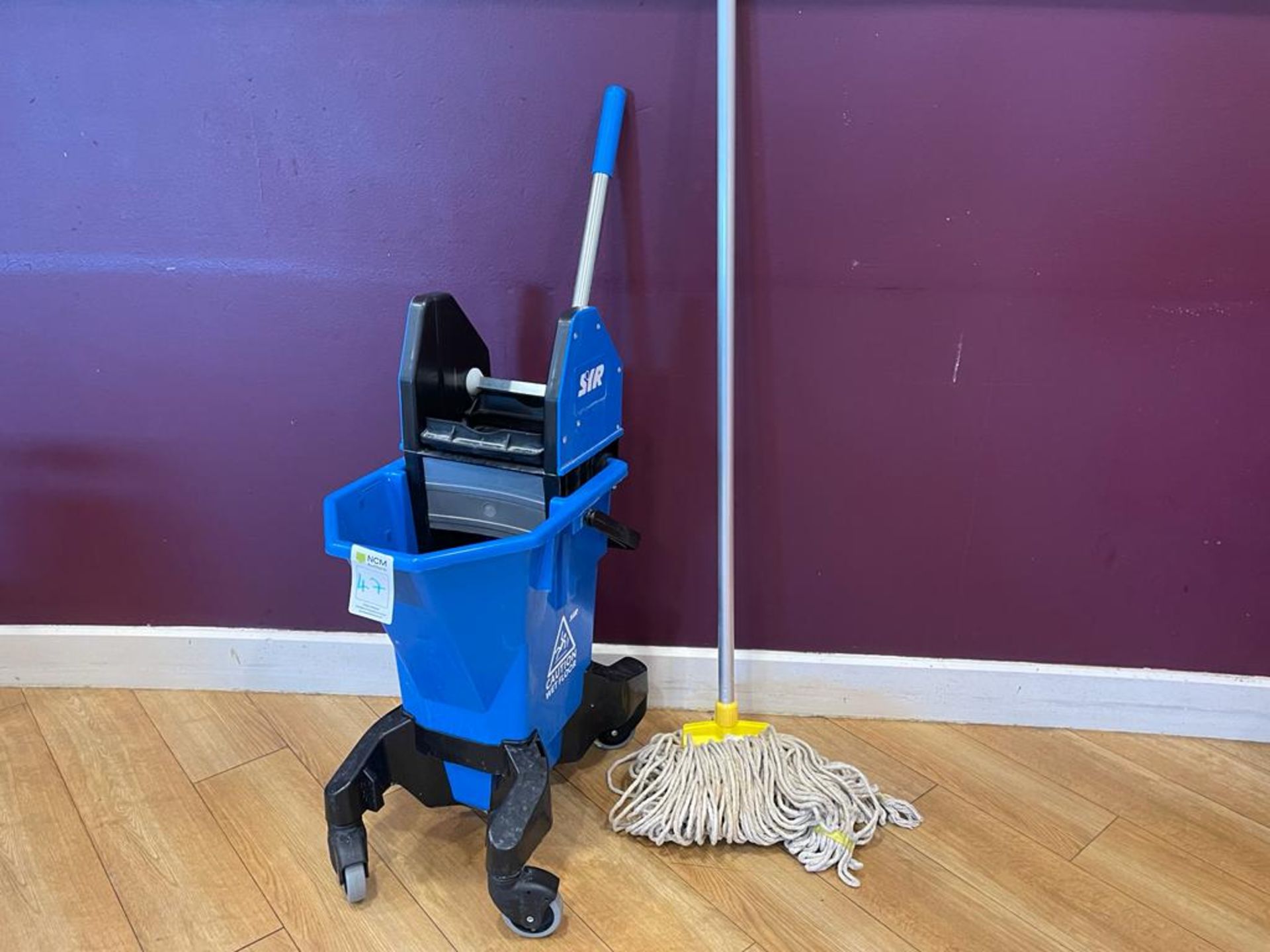 Industrial Mop & Bucket