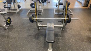 Everlast Force Barbell and Frame