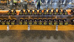 Rockit Dumbbells With Racking