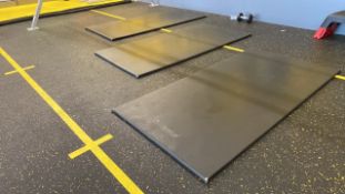 Physical Gym Mat X3