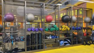 Assortment of Physical Stability Balls X6