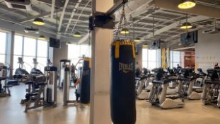 Everlast Punching Bag