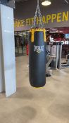 Everlast Punching Bag