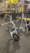 Everlast Force Barbell and Frame