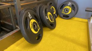 Rockit Weighted Plates x2