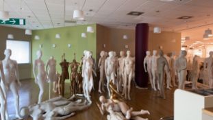 Job Lot Of Male And Female Adult Mannequins