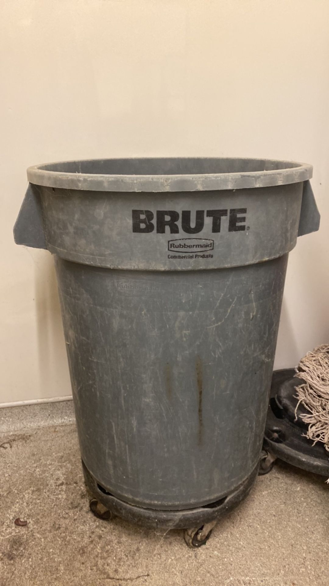 Rubbermaid Brute Bin X2