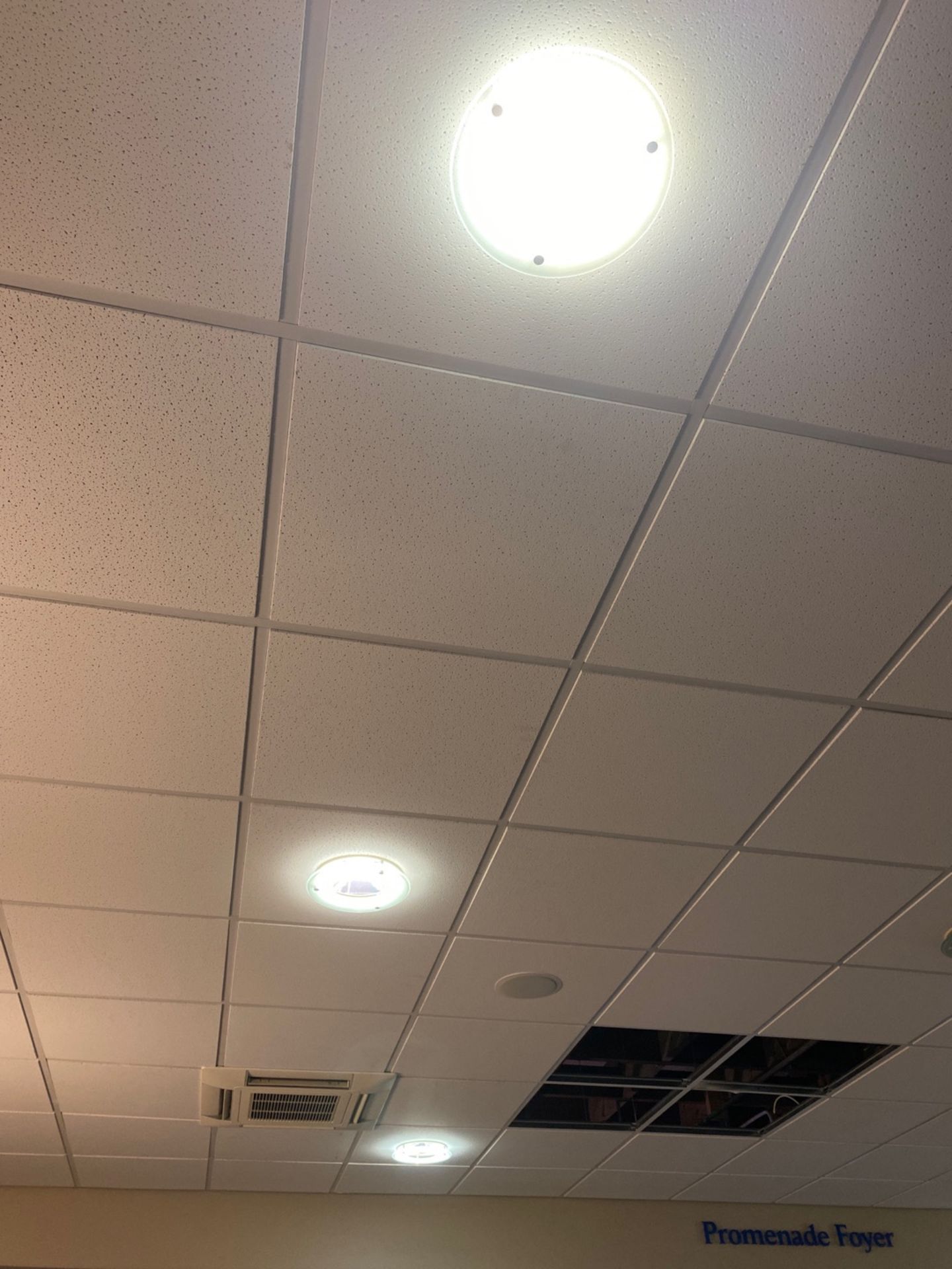 Ceiling Lights X27 - Image 2 of 3