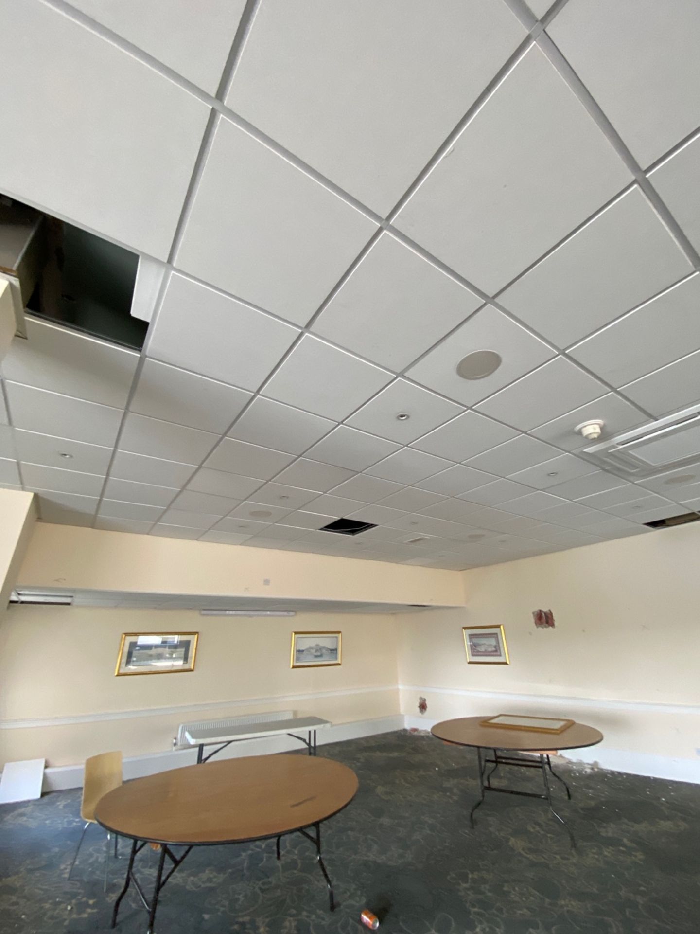 Large Quantity of Ceiling Tiles - Image 3 of 3