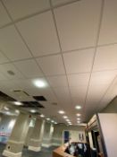 Large Quantity of Ceiling Tiles