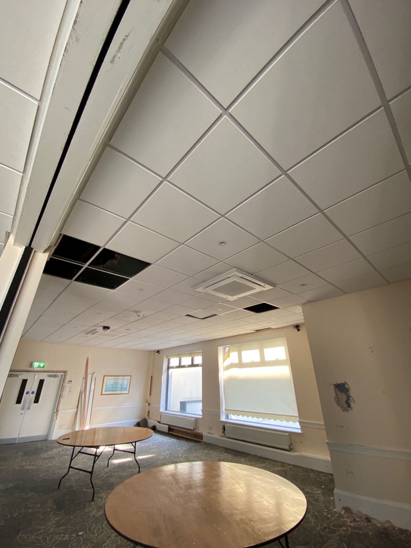 Large Quantity of Ceiling Tiles - Image 2 of 3