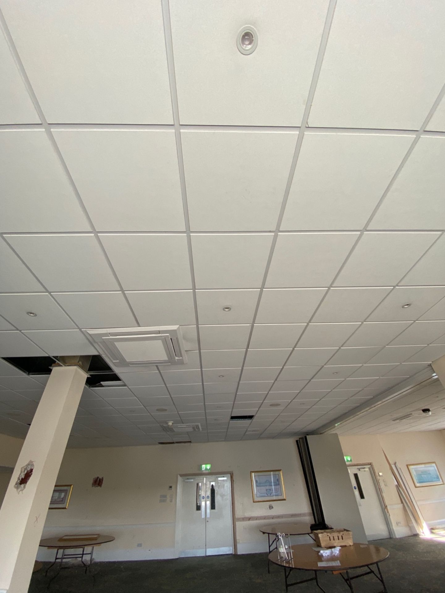 Large Quantity of Ceiling Tiles