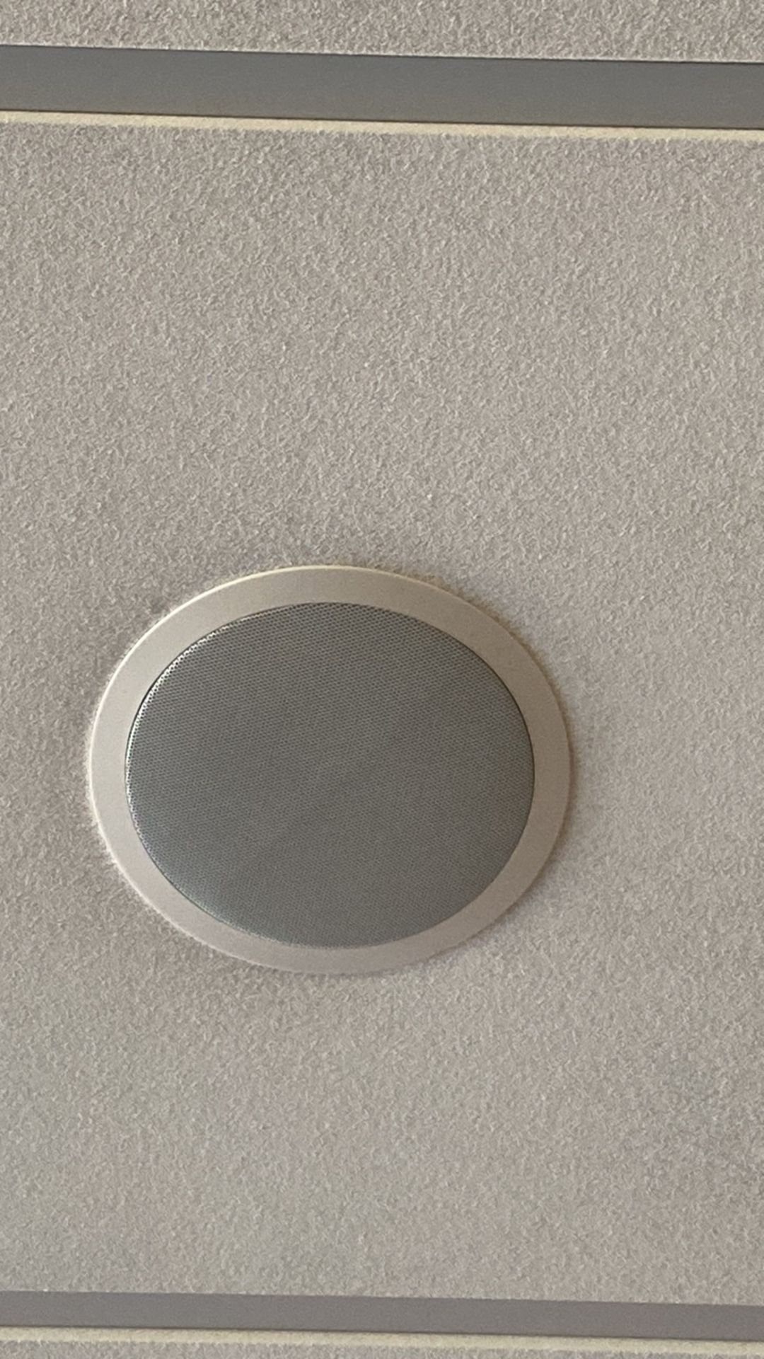 Ceiling Speaker X6