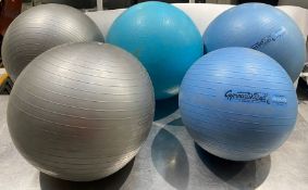 Selection of Exercise Balls