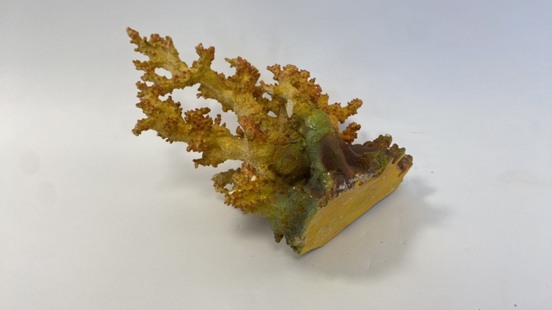 Decorative coral - Image 5 of 5