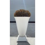 Boxwood in Ceramic Urn Planter