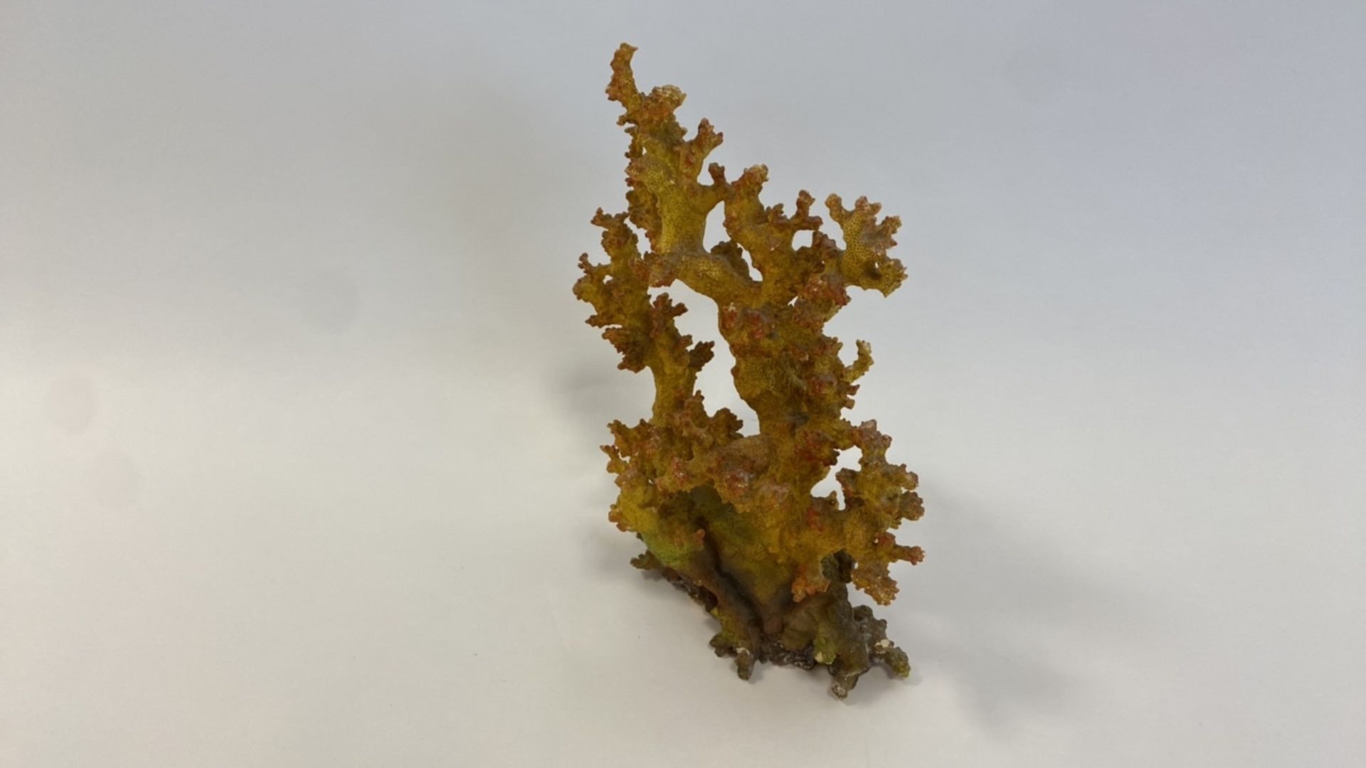 Decorative coral - Image 4 of 5