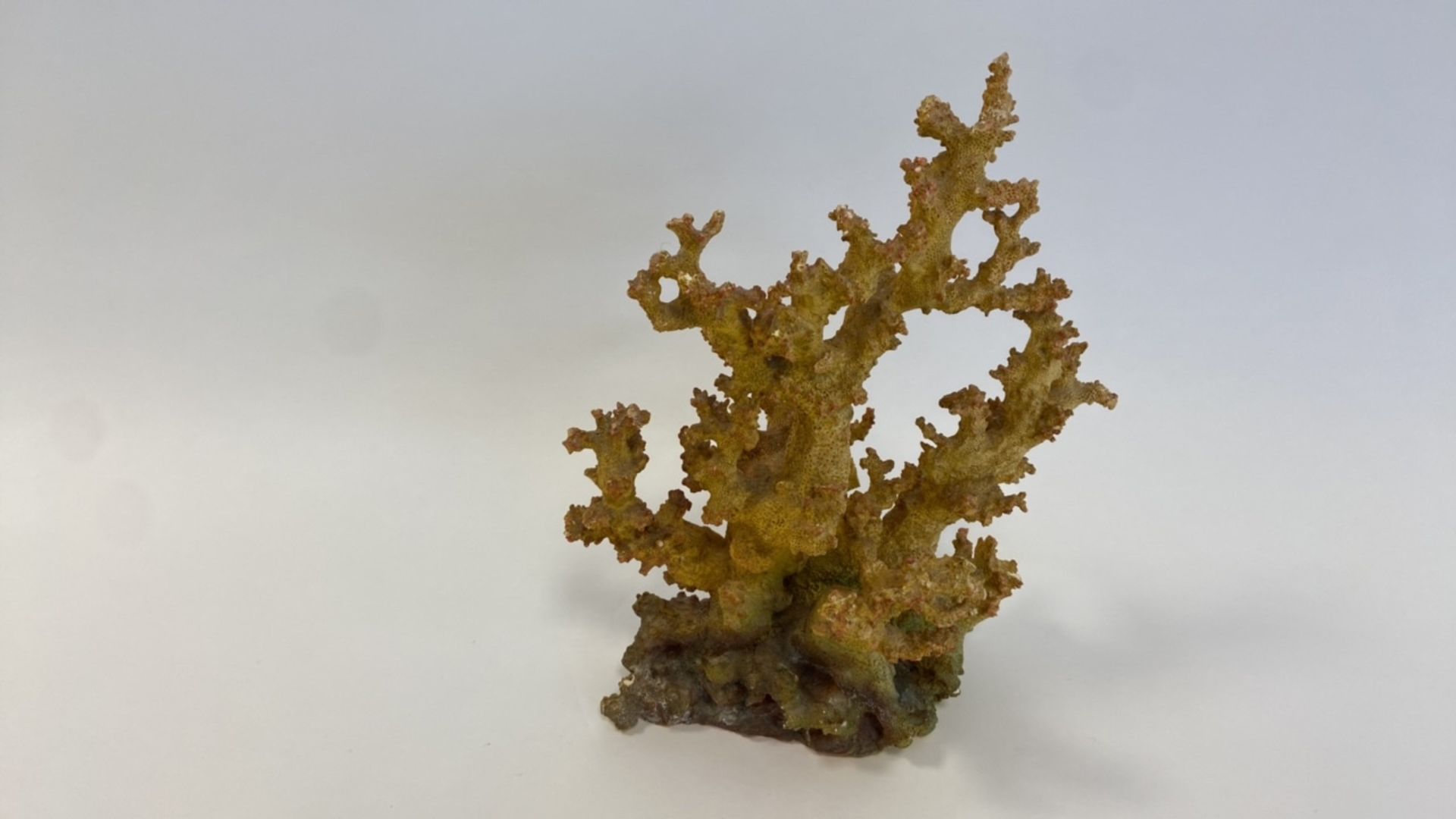 Decorative coral - Image 3 of 5