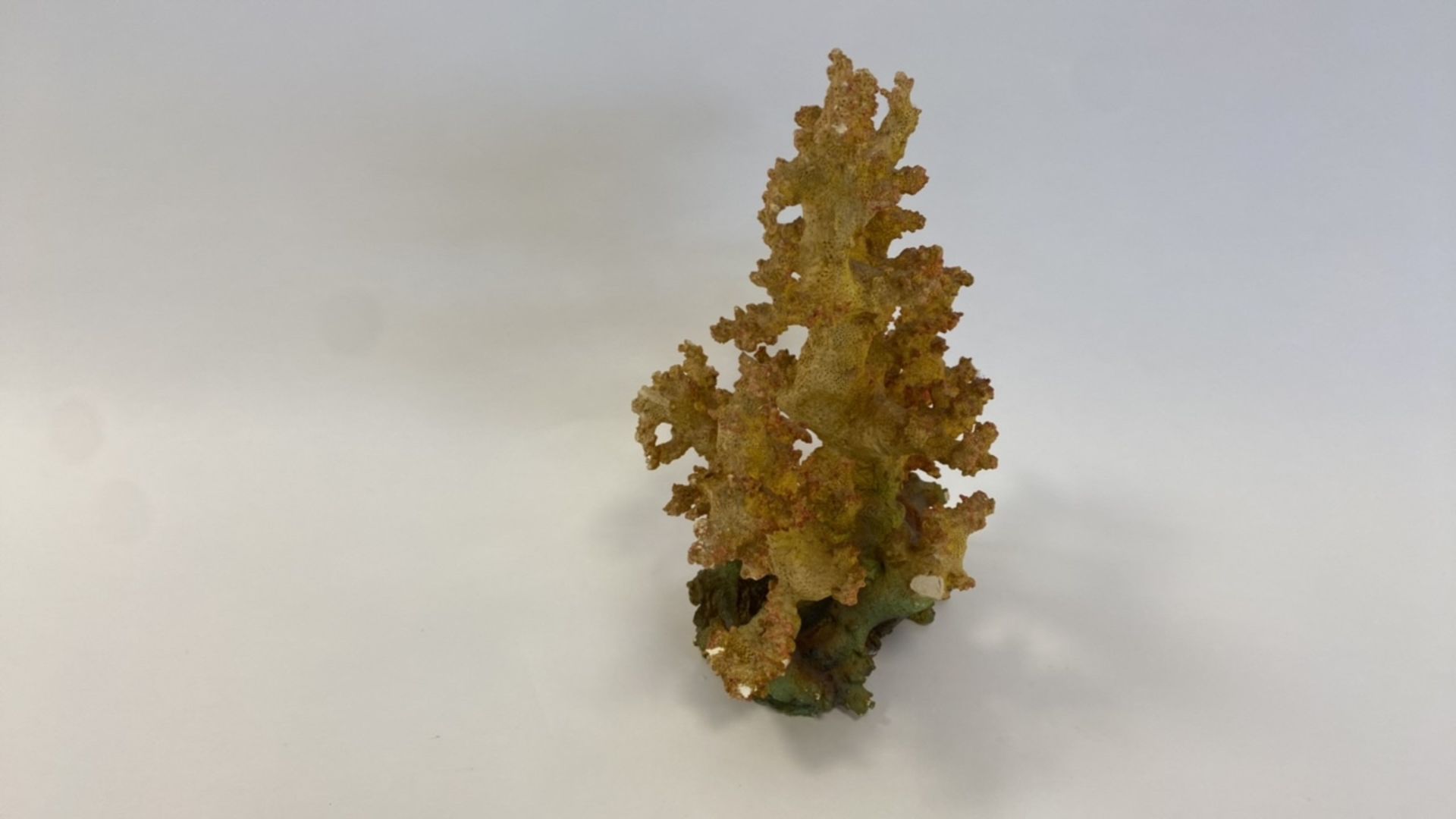 Decorative coral - Image 2 of 5