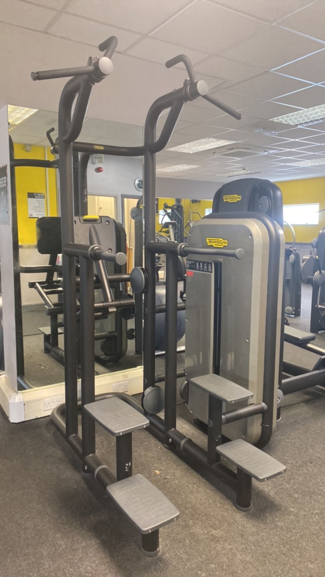 Technogym Kneeling Easy Chin/Dip Machine