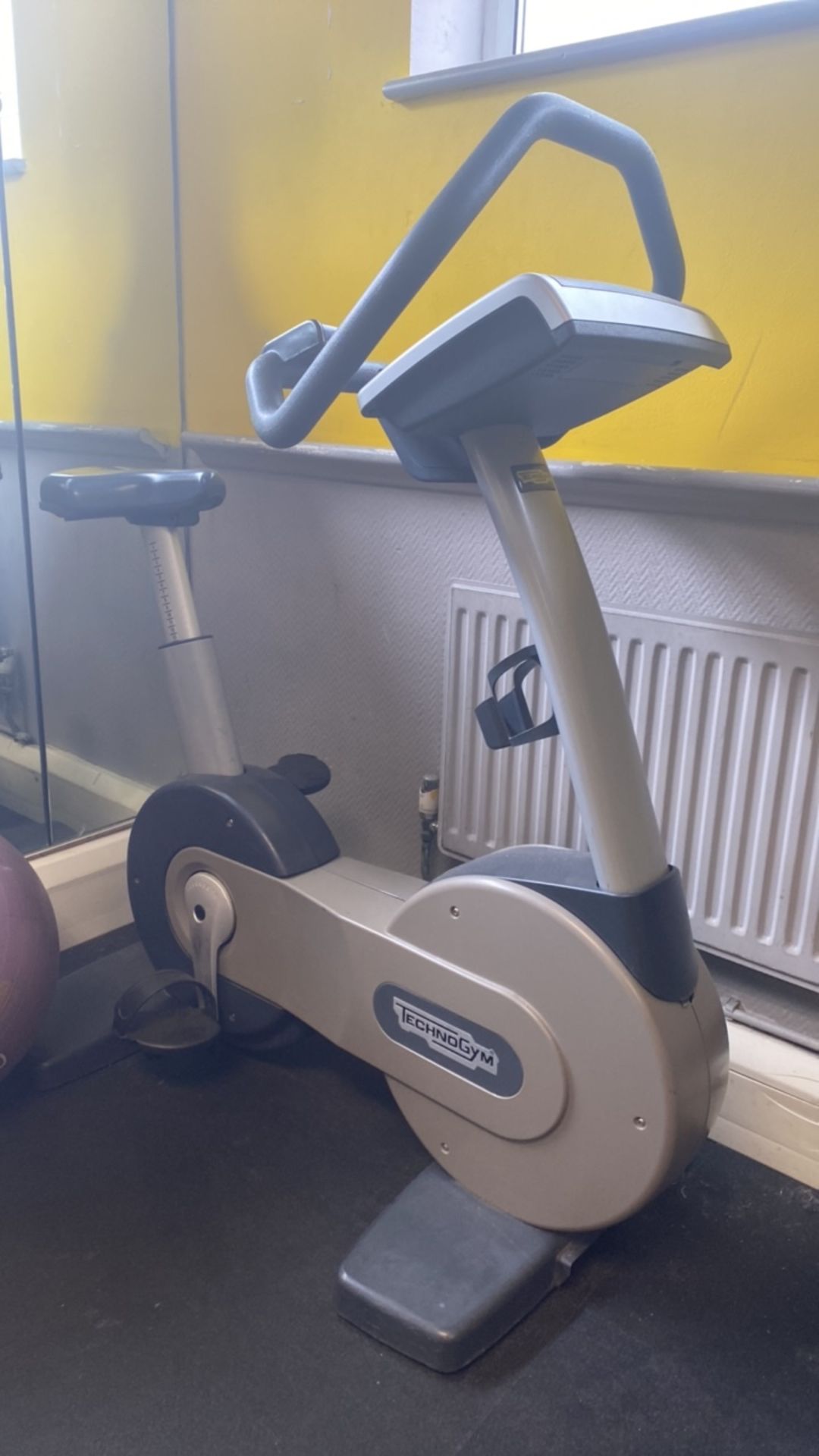 Technogym Upright Bike