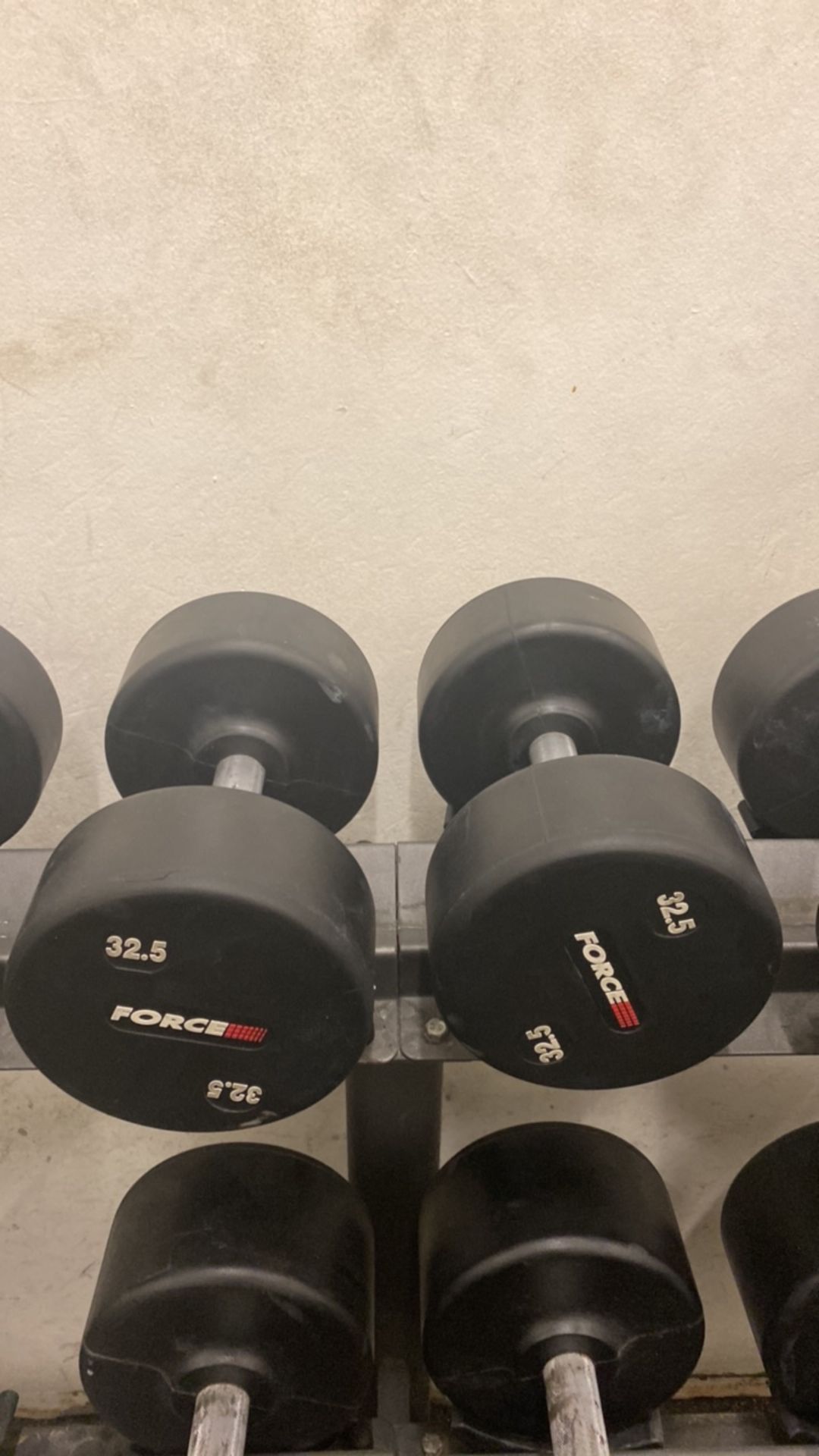 Force Dumbbells (32.5kg)