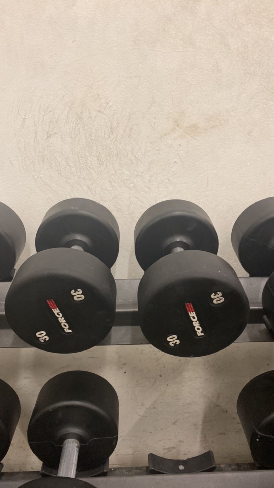 Force Dumbbells (30kg)