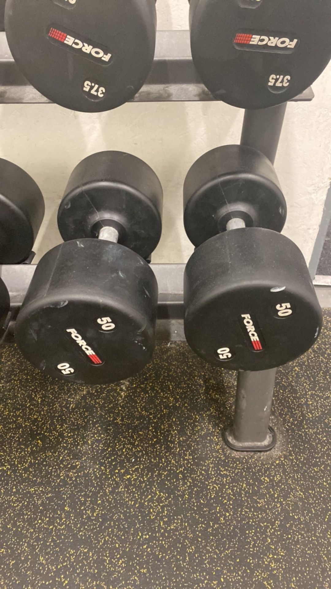 Force Dumbbells (50kg)