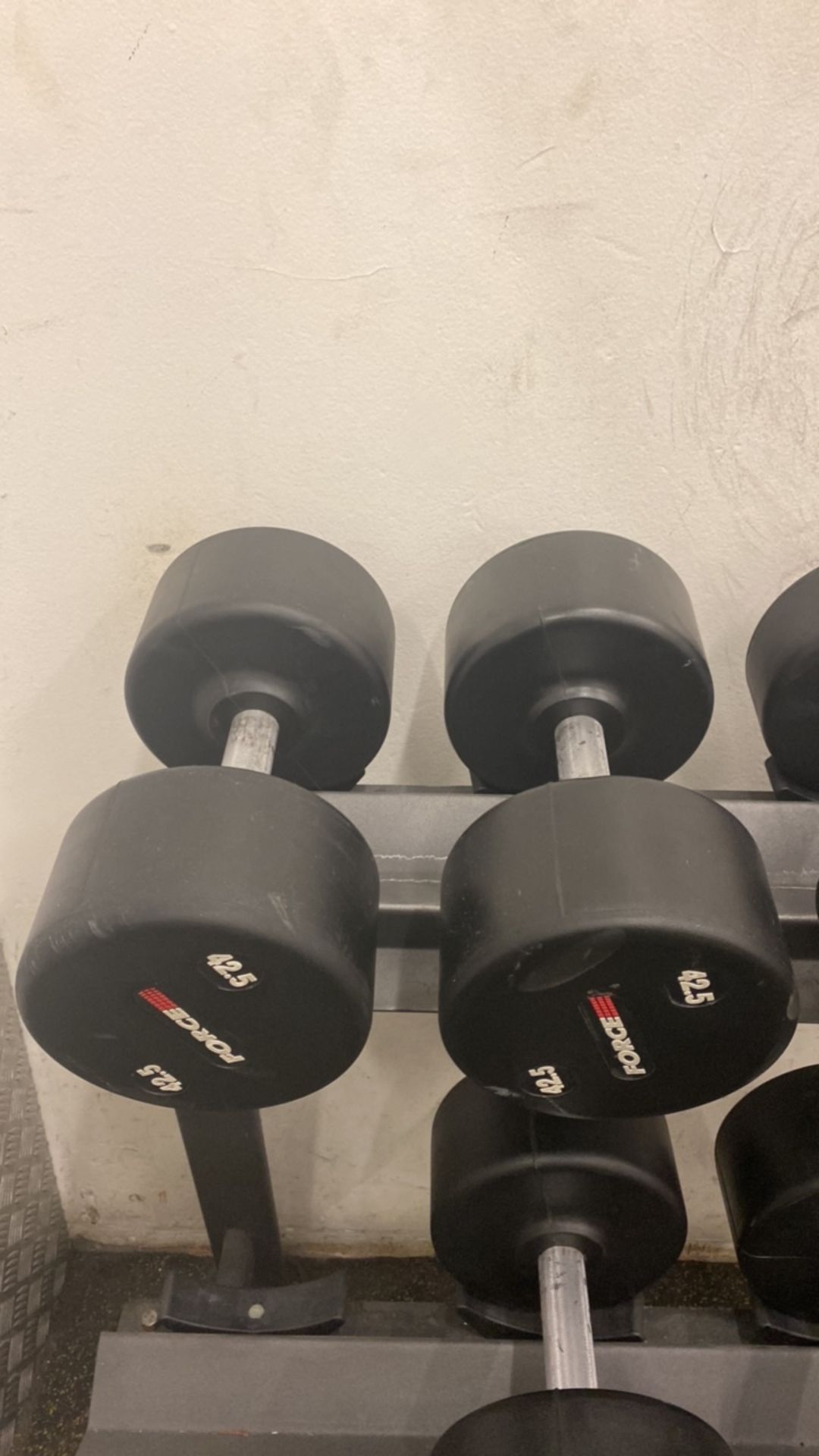 Force Dumbbells (42.5kg)