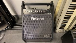 Roland PM-30 VR-Drum Speaker