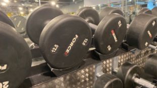 Force Dumbbells (12.5kg)