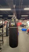 Everlast Boxing Bag