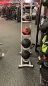 Physical Medicine Balls & Frame