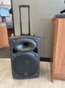 Portable Speaker System