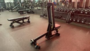 Technogym Adjustable Gym Bench