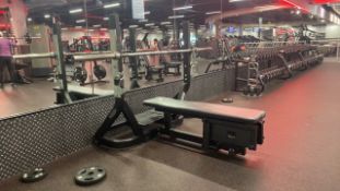 Technogym Olympic Flat Bench